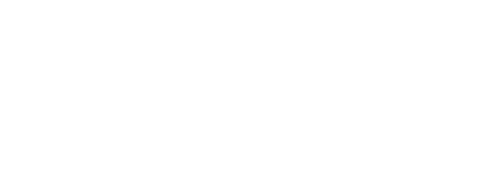 Een <em>Soul-Bird</em> (‘ziel-vogel’) tekening van Sri Chinmoy
