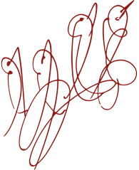 Een <em>Soul-Bird</em> (‘ziel-vogel’) tekening van Sri Chinmoy